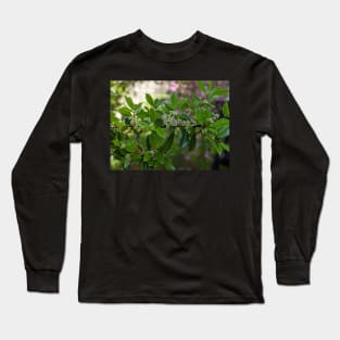 Green and White Blooms on a Branch Long Sleeve T-Shirt